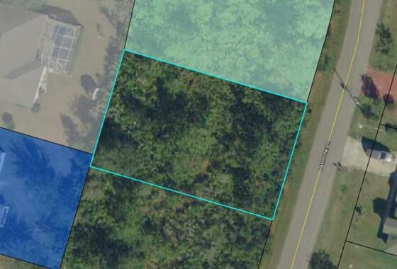 257571 15 Lamoyne Lane
