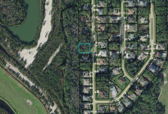 262224 60 Edward Dr