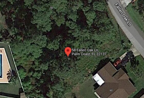 265507 58 Fallen Oak Lane