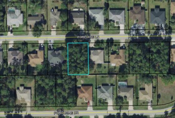 266927 20 Porpoise Lane