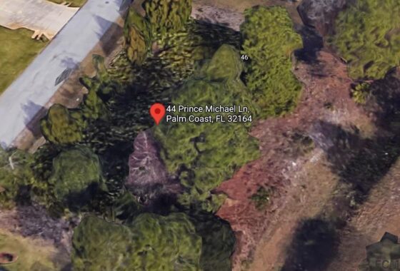 266939 44 Prince Michael Ln