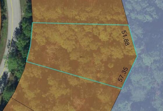 267406 51 Sentinel Trail