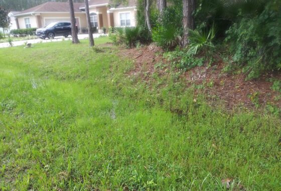 269074 10 Ricardo Place