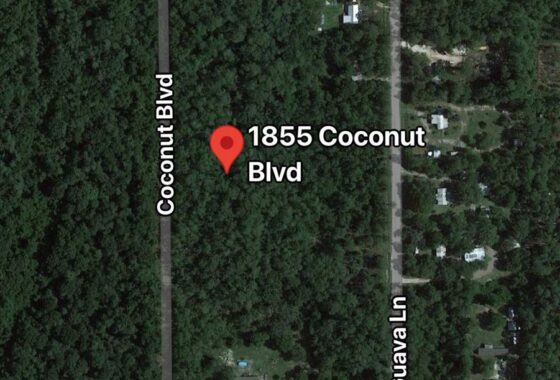 272089 1855 95 Coconut Blvd