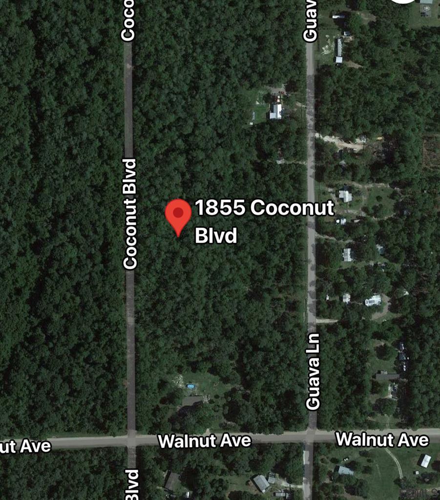 272089 1855 95 Coconut Blvd