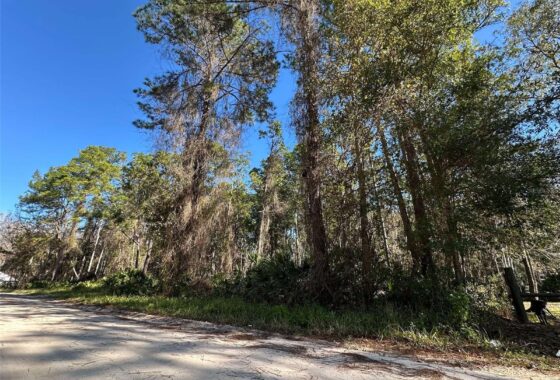 FC298353 220 Amberjack Street