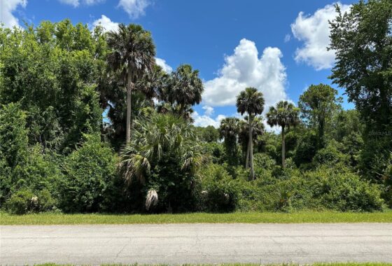 FC301565 820 Paradise Boulevard