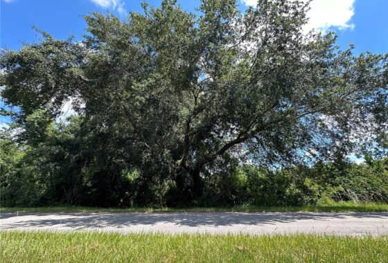 FC301567 828 Paradise Boulevard
