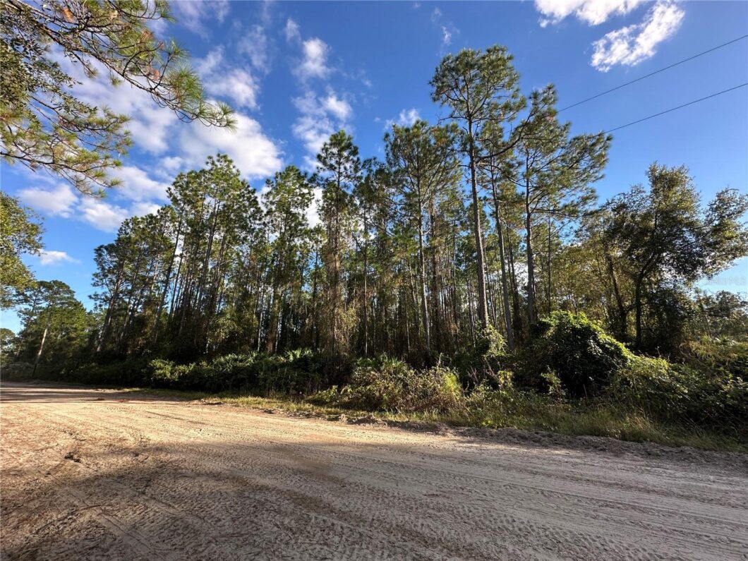 FC305879 111 Camp Road