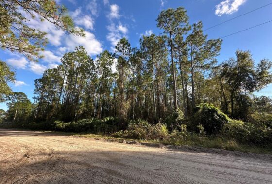 FC305879 111 Camp Road