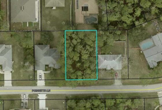 FC318597 23 Poinsettia Lane